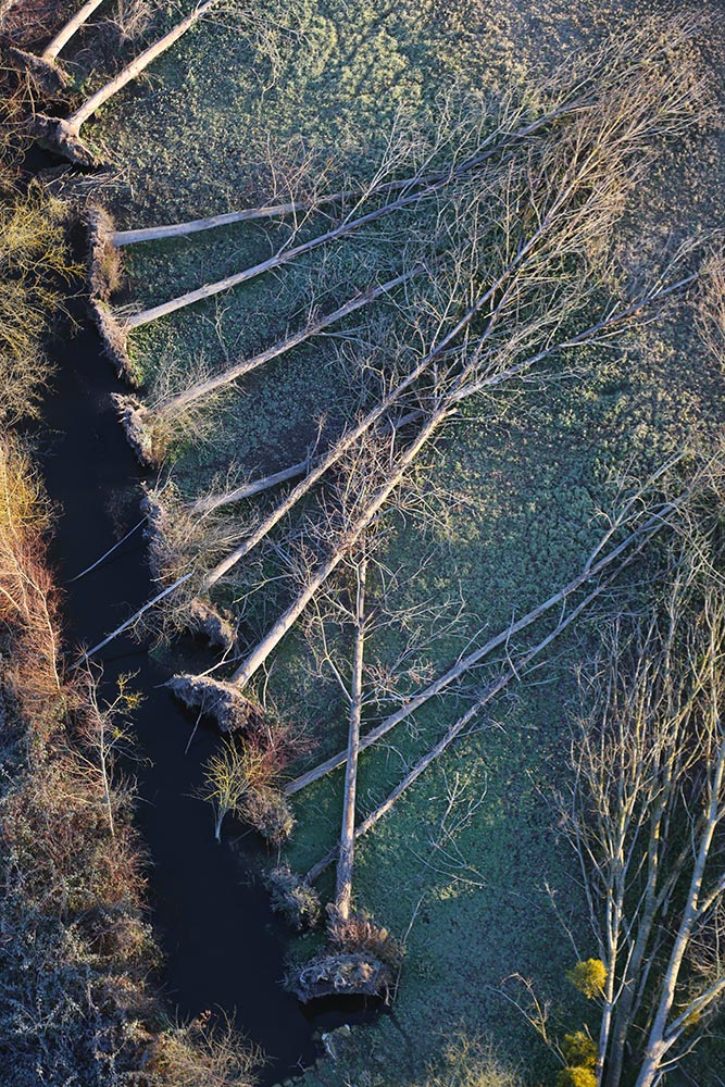 montgolfiere centre atlantique vols en montgolfière commande en ligne