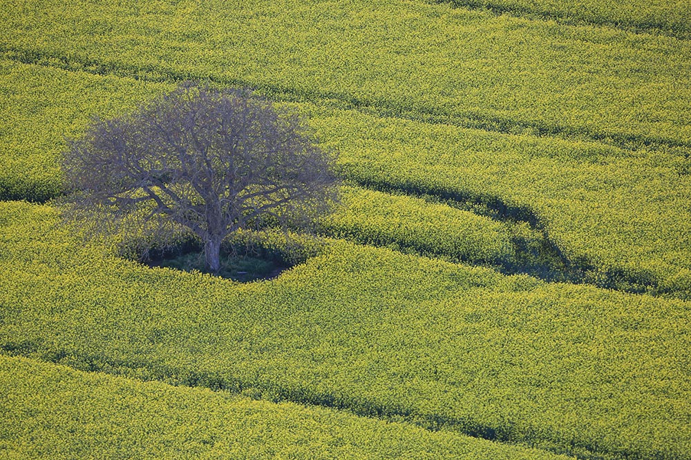 nature-montgolfiere-centre-atlantique (8)