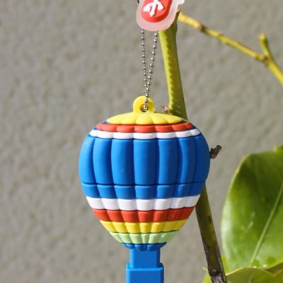 Clef USB Montgolfière avec vidéo de votre vol